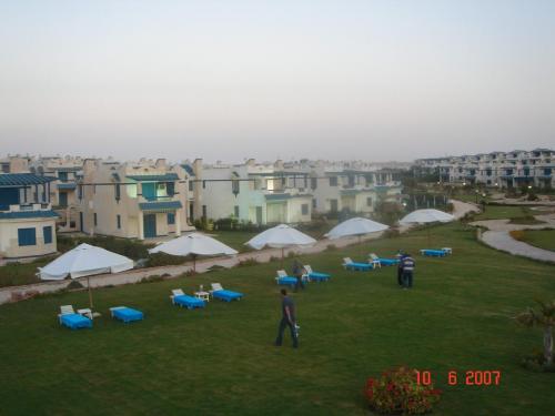 DSC03142