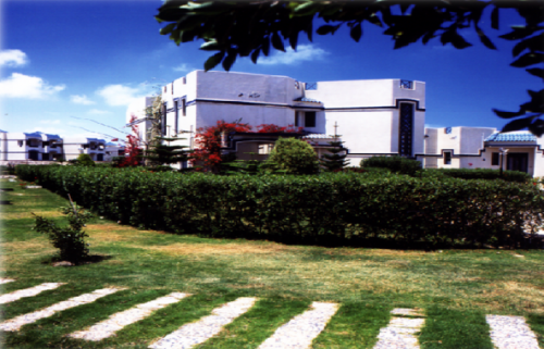 Picture6